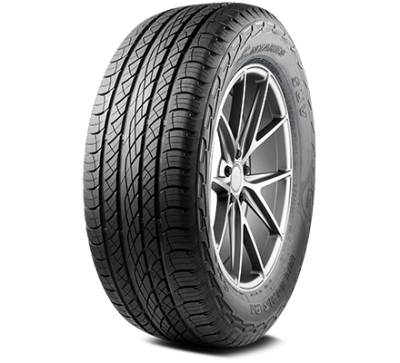 Antares Majoris R1 255/55R20 110H XL M+S