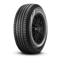 Pirelli SCORP ICE 315/35R20 110V XL